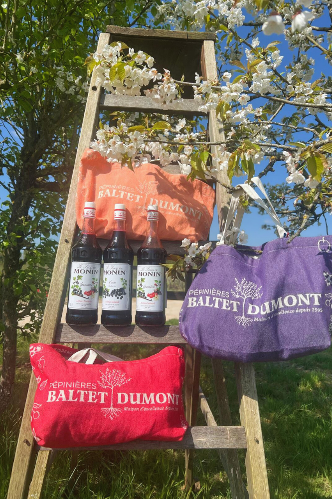 Tote Bag Pépinières