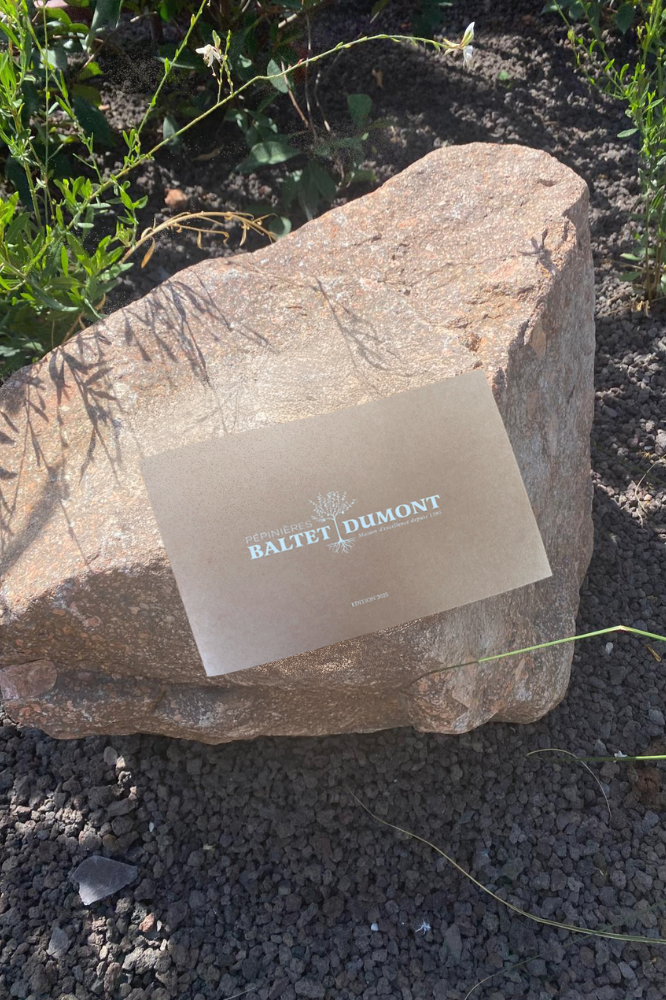 Catalogue Pépinières